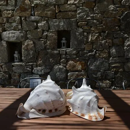 别墅 Amallini Mykonos 超级天堂海滩